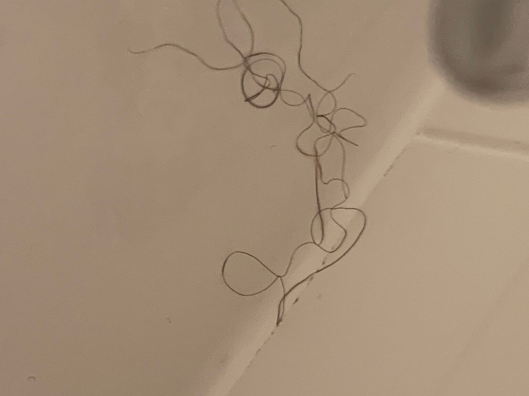 Homewood Suites By Hilton Akron Fairlawn, Oh主图