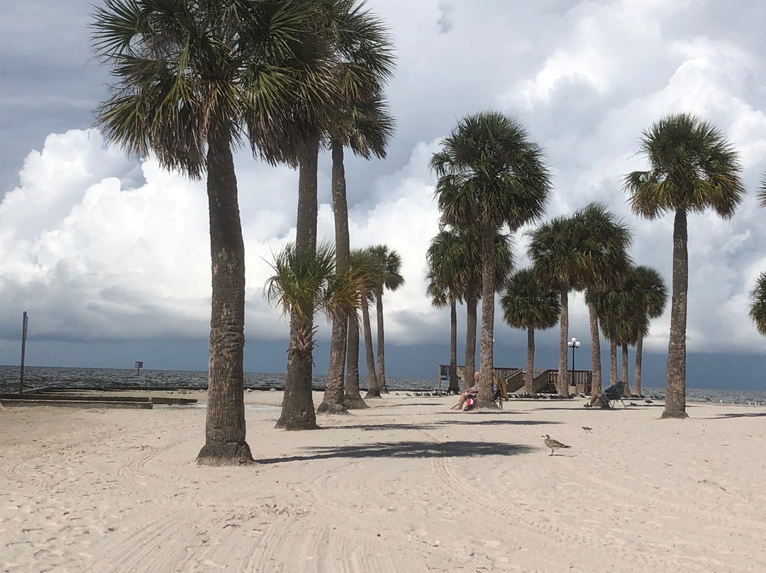 Alfred McKethan Pine Island Park景点图片