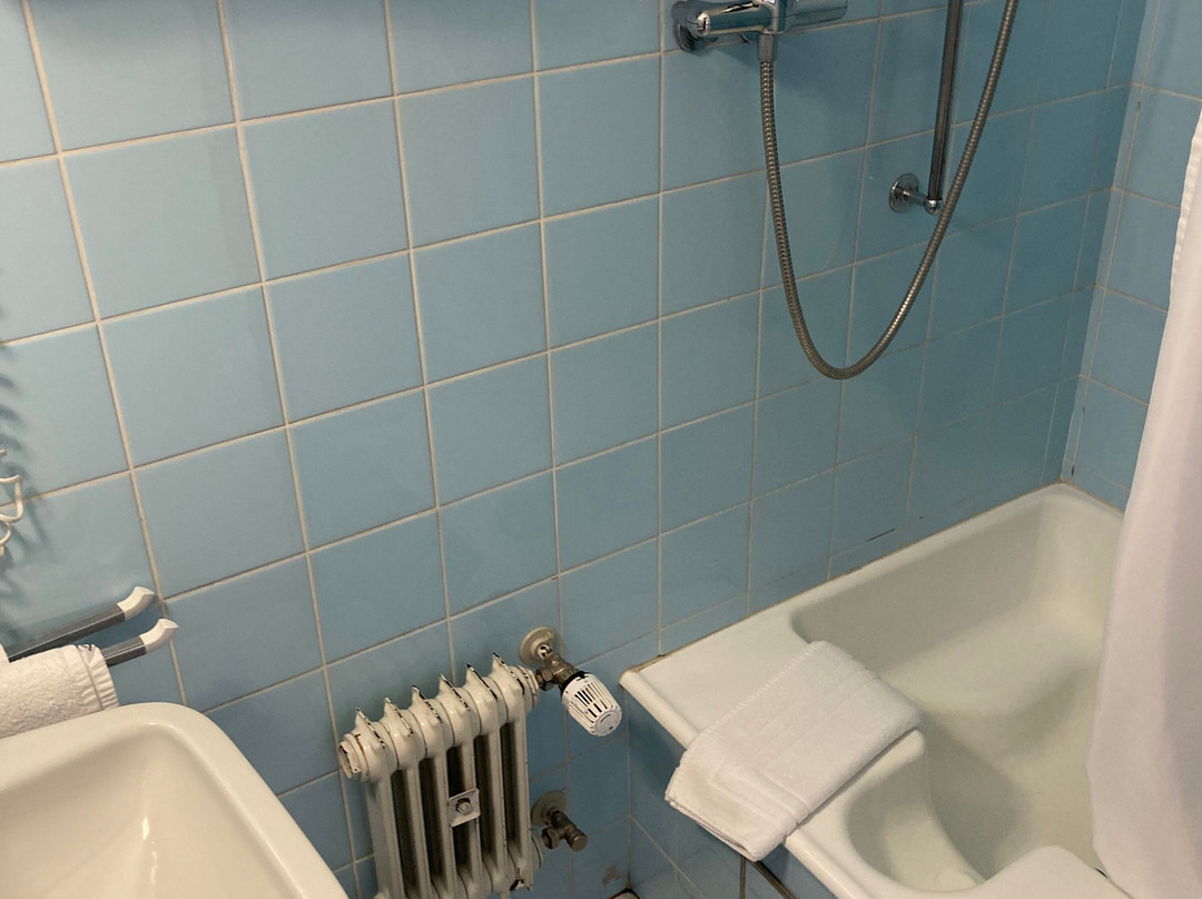 贝斯霍夫阿尔卑斯山酒店主图