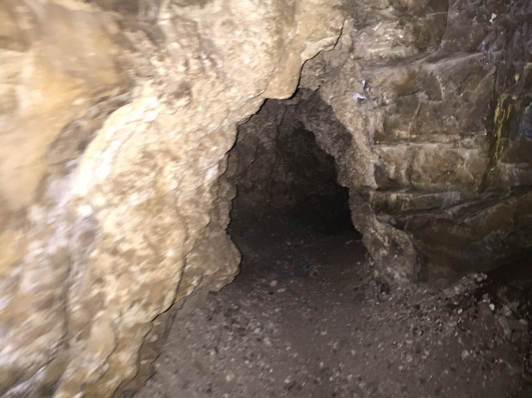 Wild Cave Adventures景点图片