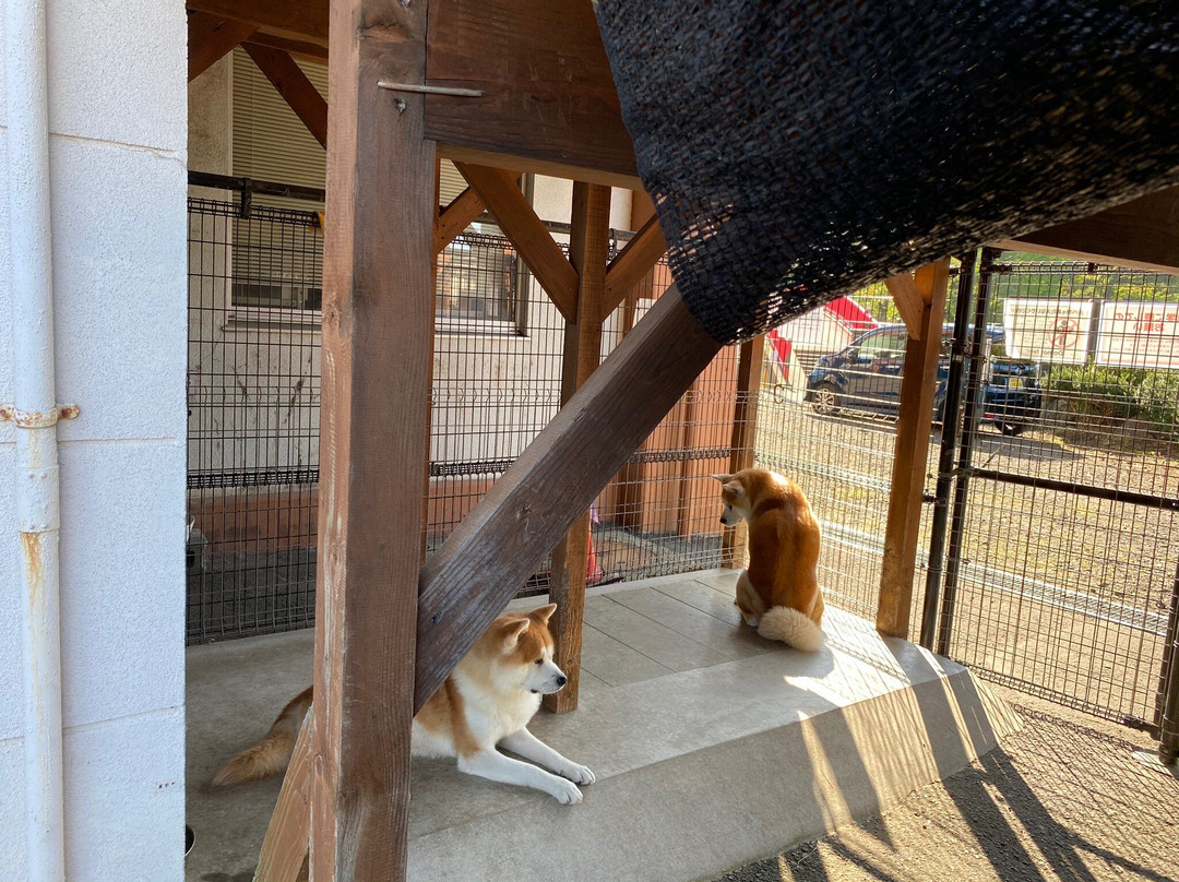 Akitainu Hall-大馆市必去景点