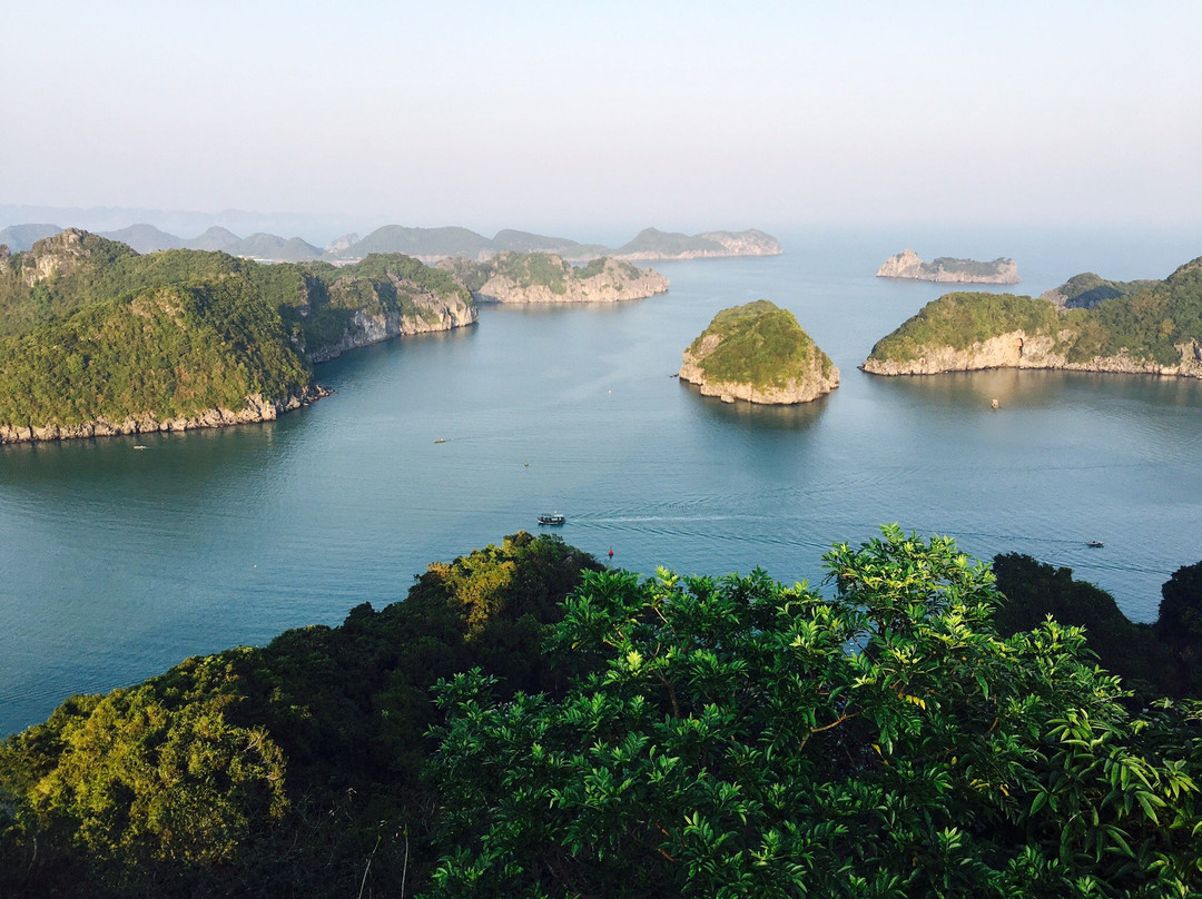 Den Dong Co-清化必去景点