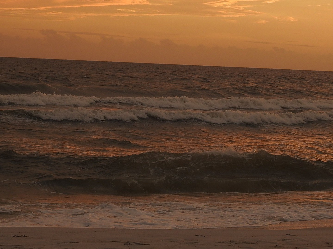 Palmetto Beachfront Resort主图