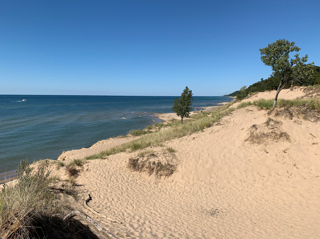 Saugatuck Dunes State Park景点图片