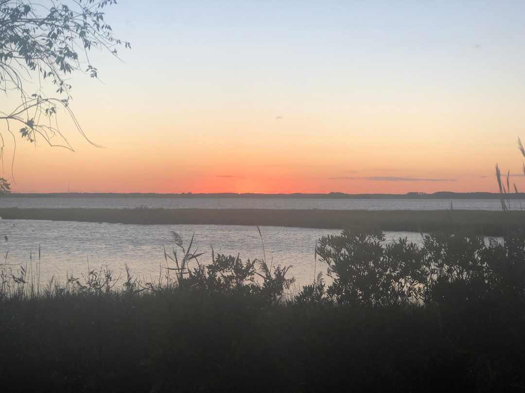 Northside Park-大洋城必去景点