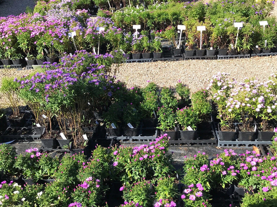Old Court Nurseries & Picton Garden-Colwall必去景点