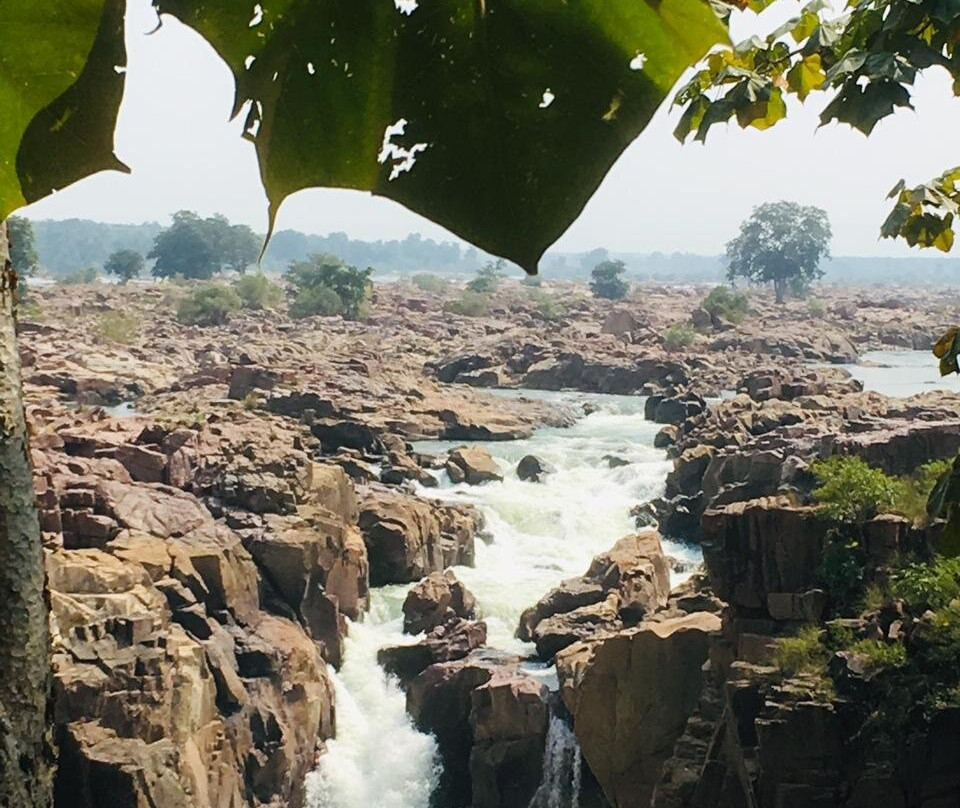 The Panna National Park Safari景点图片