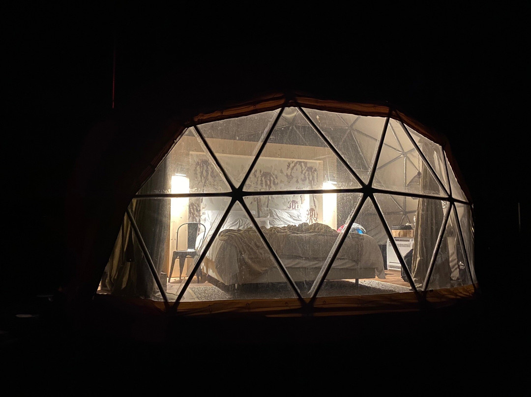 Big Bang Nature Stays主图