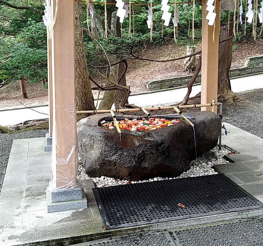 Chitose Shrine-千岁市必去景点