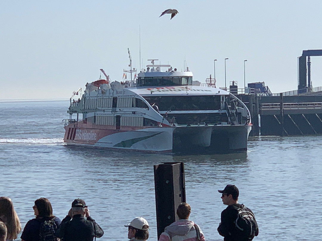 Halunder Jet-Helgoland必去景点