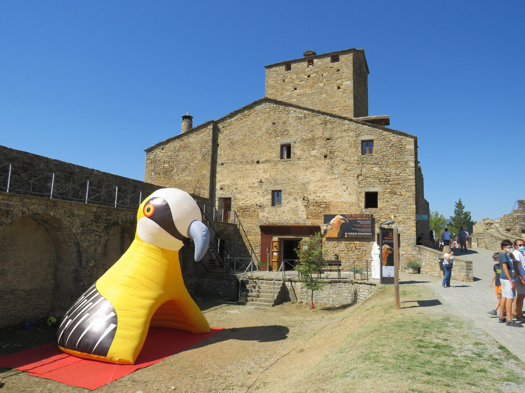 Castillo Fortaleza de Ainsa景点图片