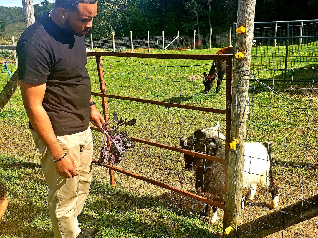 Round The Bend Farm-Kettleby必去景点
