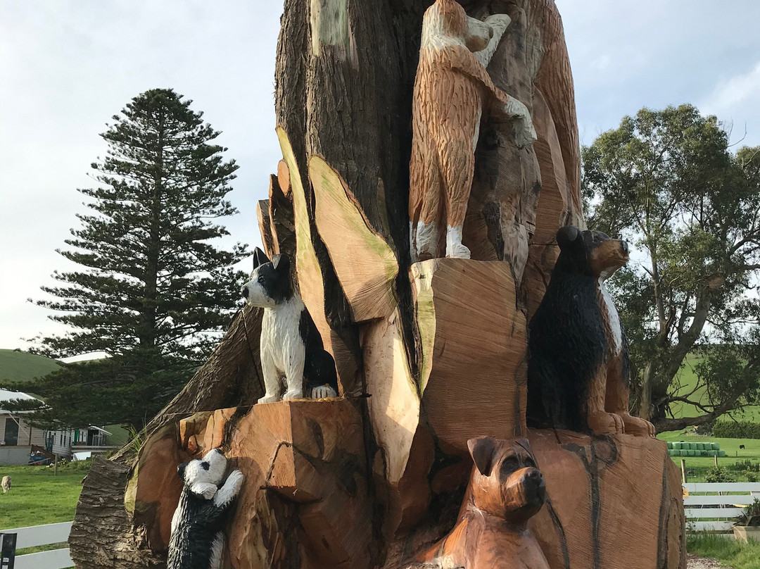 Toora Dog Tree-Toora必去景点