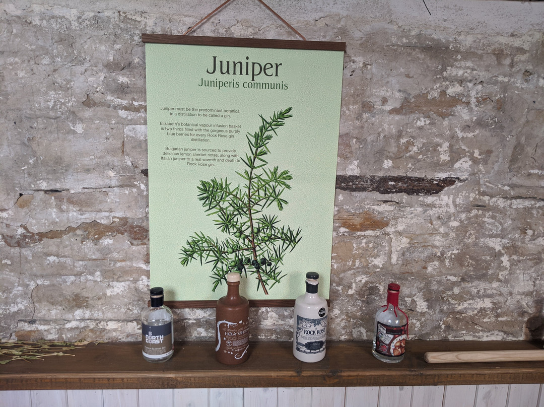 Dunnet Bay Distillery-Dunnet必去景点