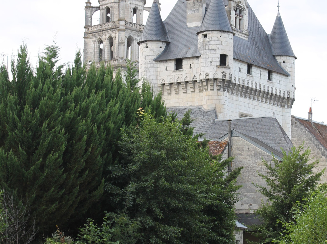 Loches Jardin Public景点图片