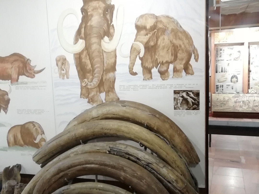 Kamchatka Regional Museum of Local Lore景点图片