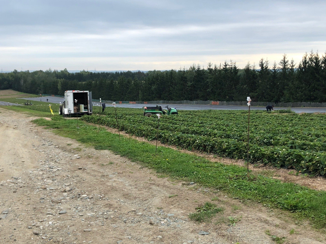 Ferme St-Elie-舍布鲁克必去景点