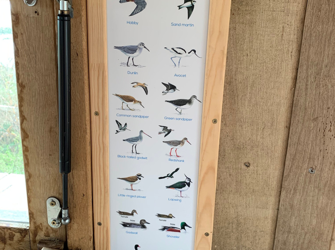 Pagham Harbour Local Nature Reserve景点图片