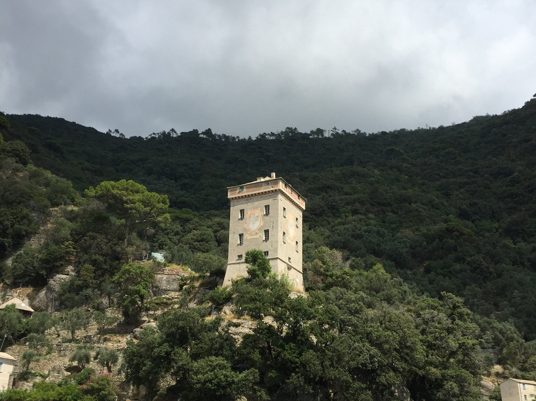 Abbazia di San Fruttuoso-卡莫利必去景点