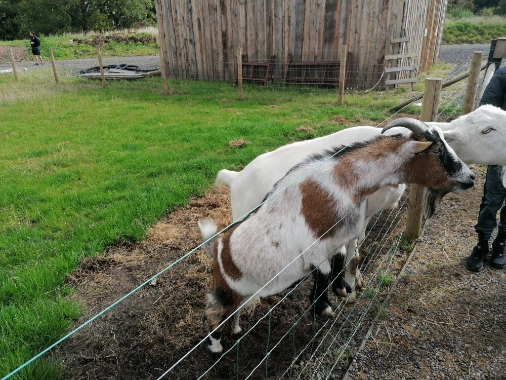 Apple Cast Farm-Newburgh必去景点