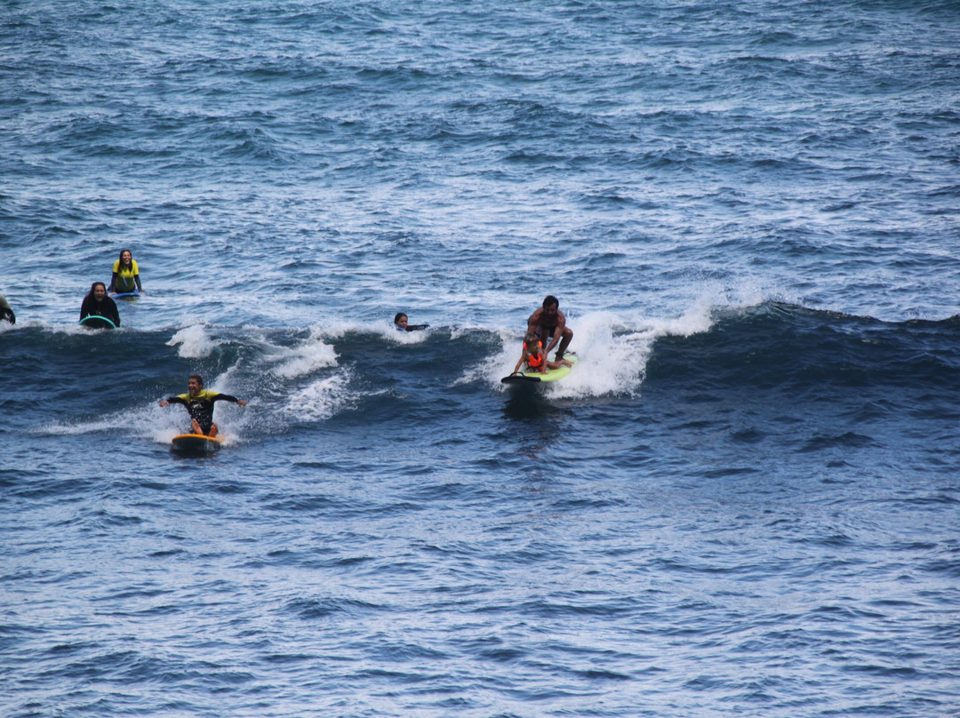 Madeira Surf Center-马德拉群岛必去景点