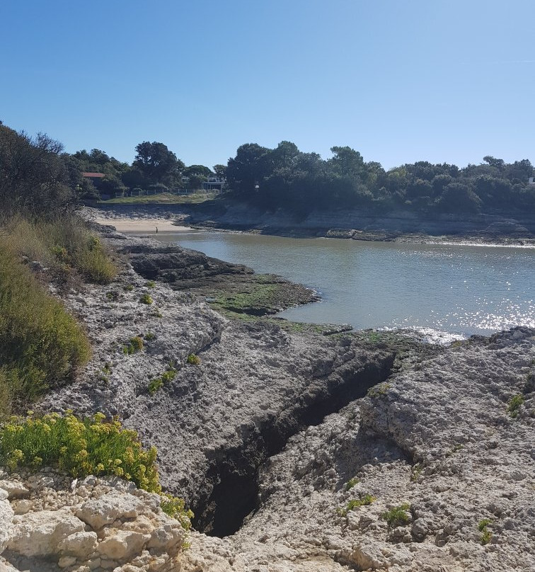 Cabanes à Carrelets - Saint-Palais-sur-Mer景点图片