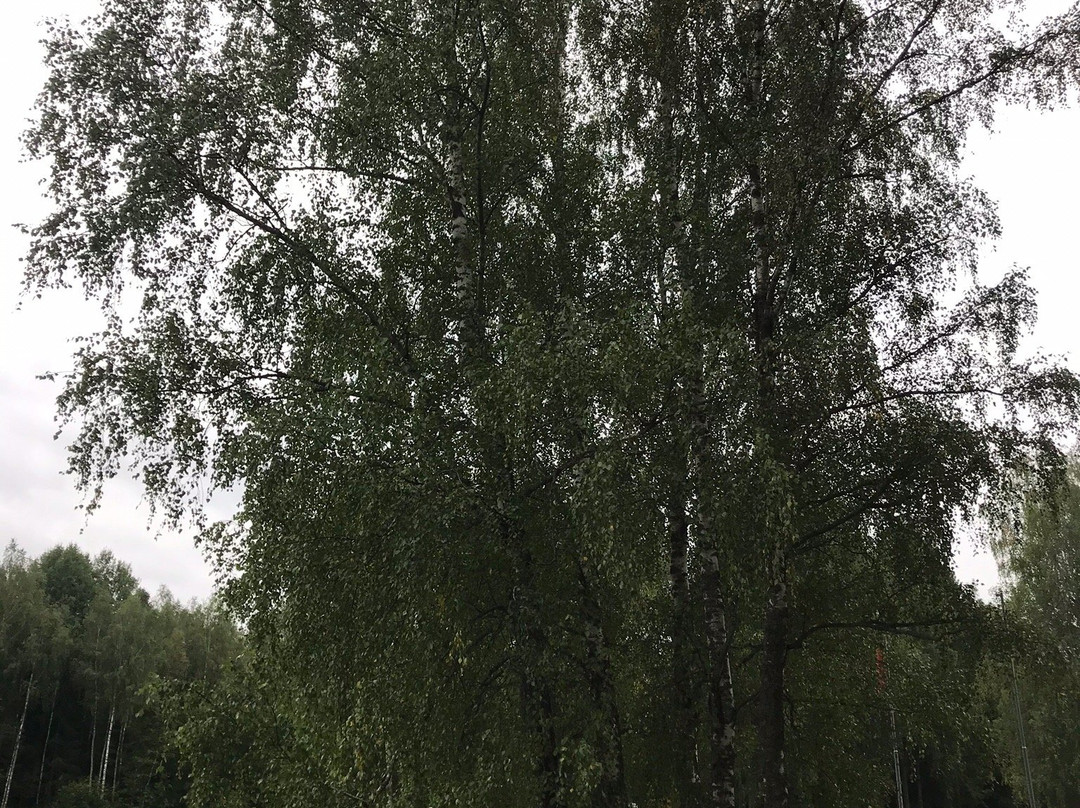 Khatyn Memorial-Lahojsk District必去景点