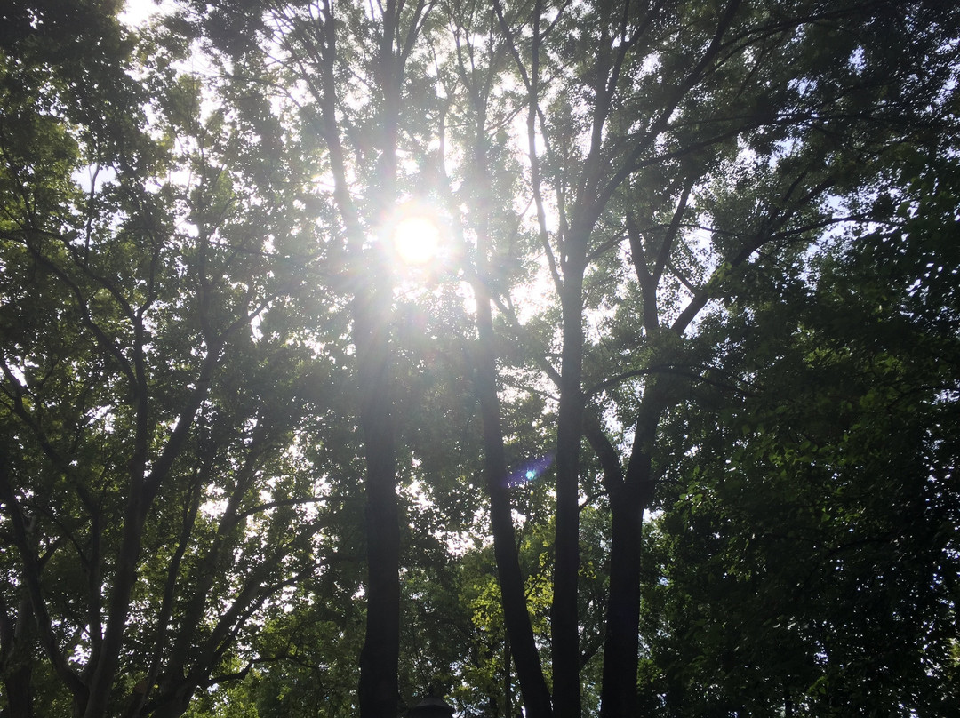 Parc Dendrologic景点图片
