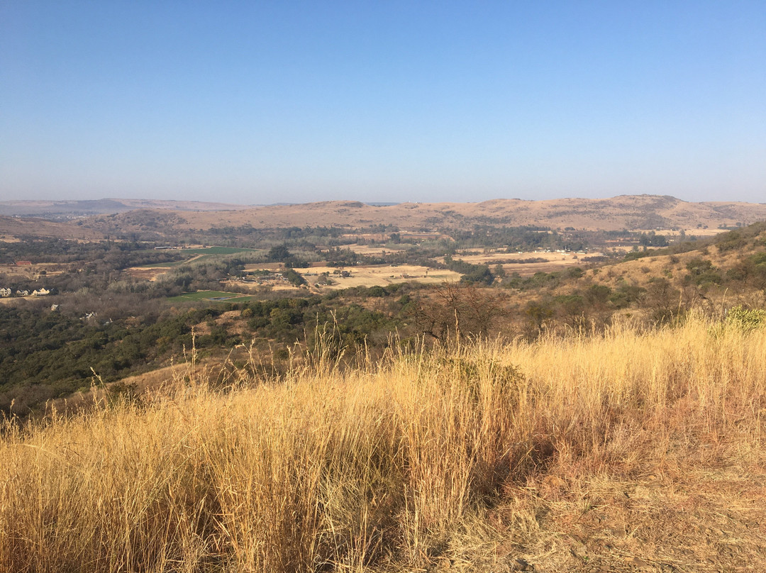 Olive Tree Farm主图