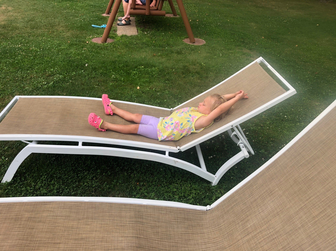 Driftwood Resort主图