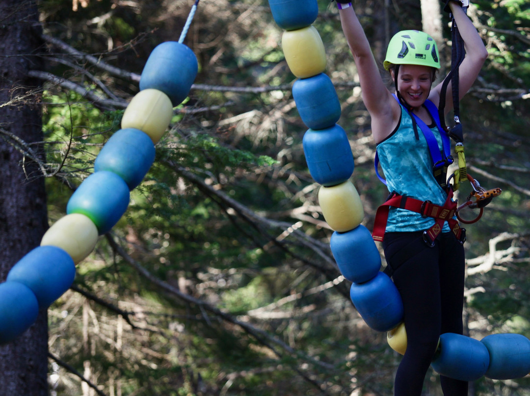 TimberTop Adventures-圣约翰必去景点