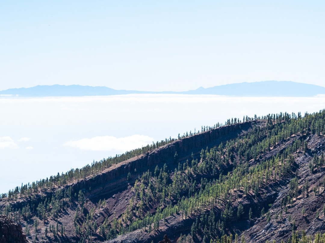Top Buggy Adventure-圣克鲁斯-德特内里费必去景点