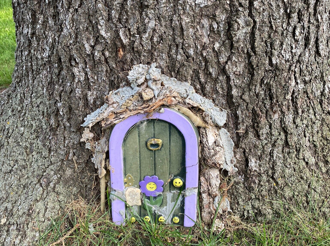 Wolseley Swinging Bridge-Wolseley必去景点