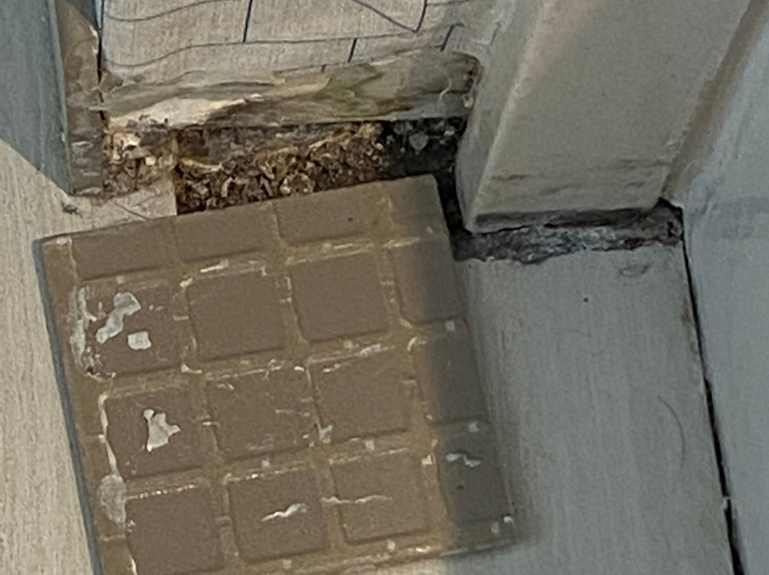 Holiday Inn Express Columbia By IHG主图