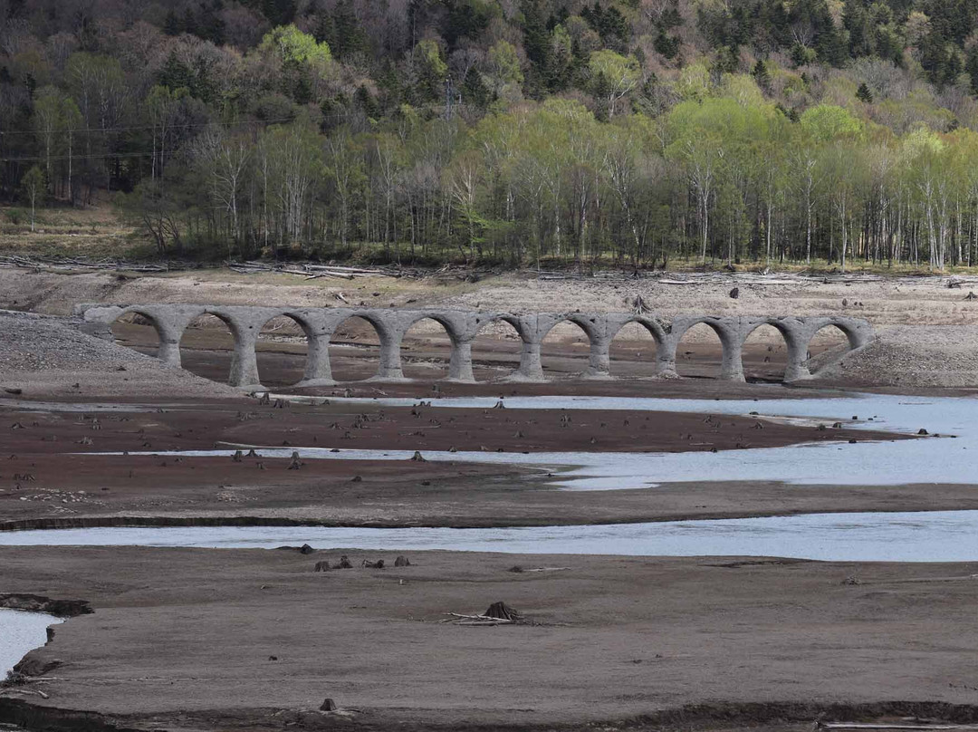 Taushubetsu River Bridge景点图片