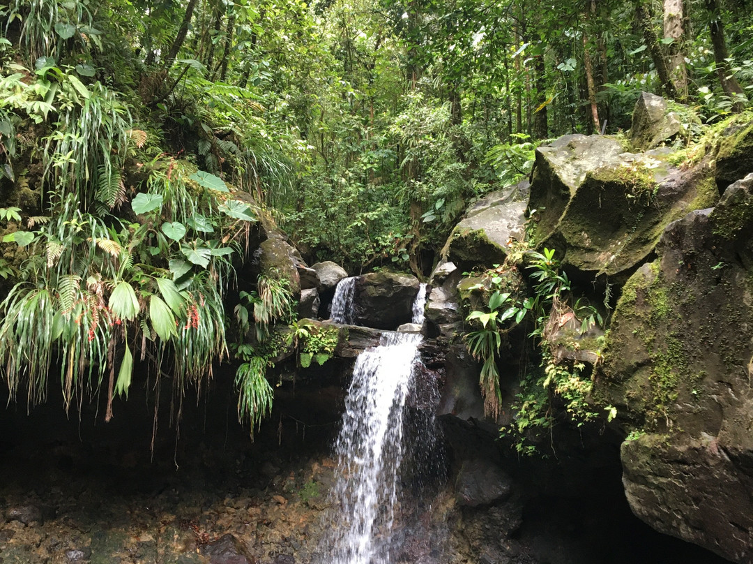 La Cascade Paradis景点图片