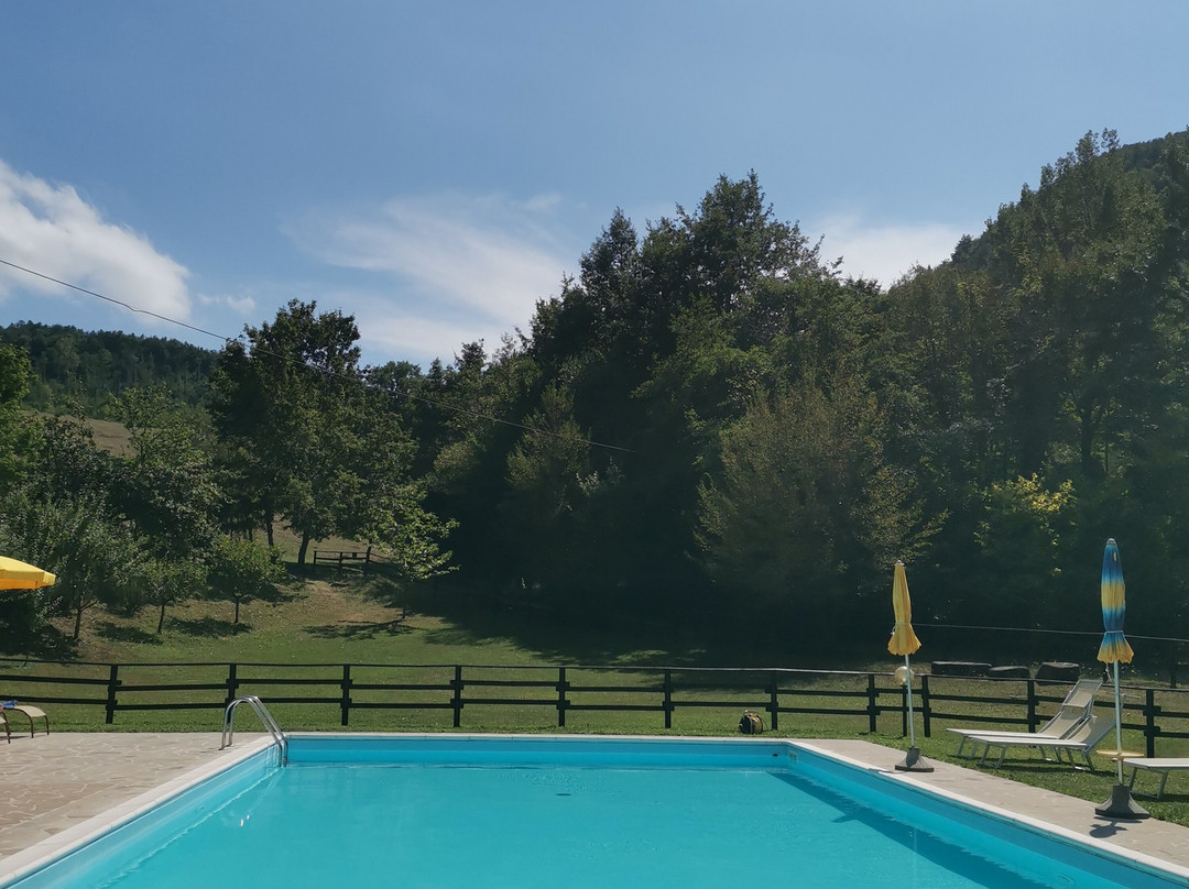 Agriturismo La Ferraia主图