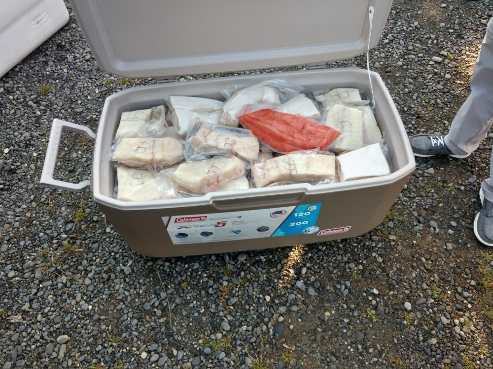 Reel Salty Charters-尼尔奇克必去景点