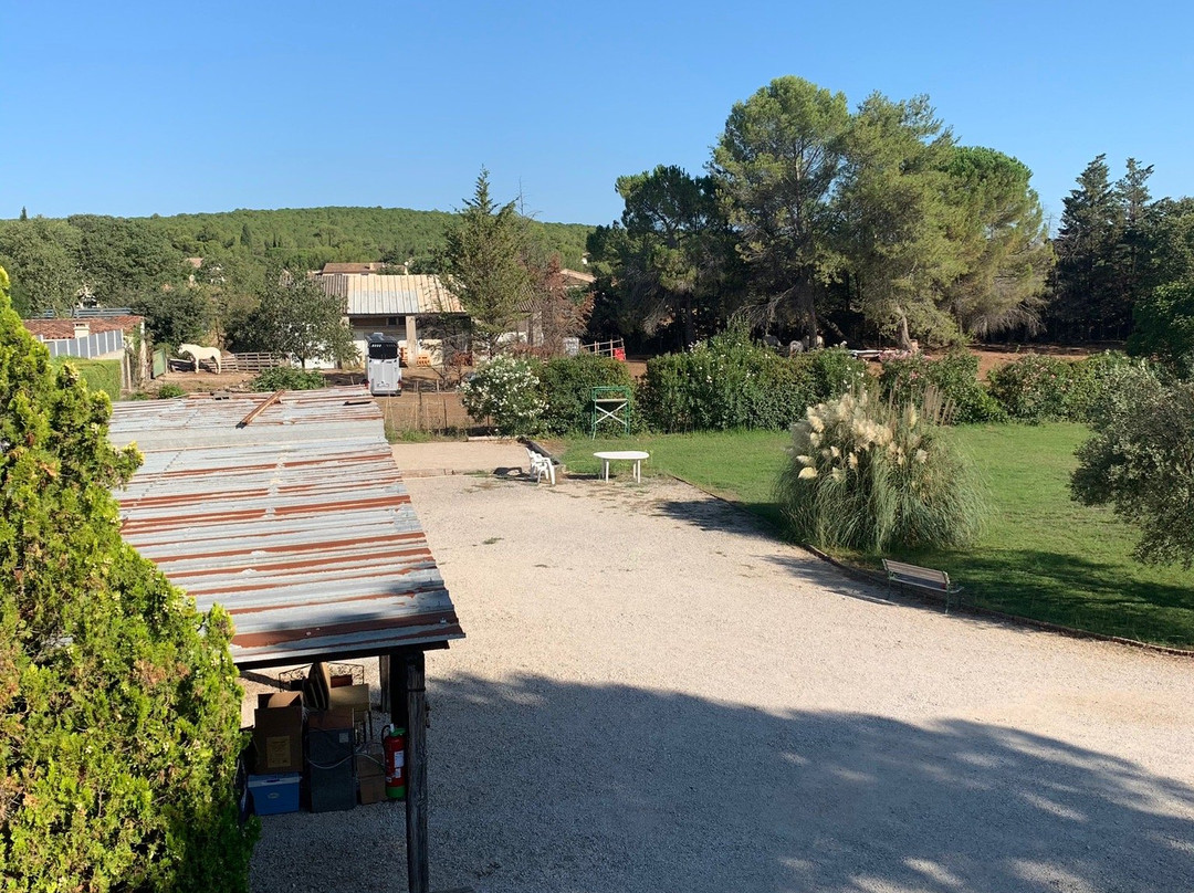 Les Bougainvillees主图