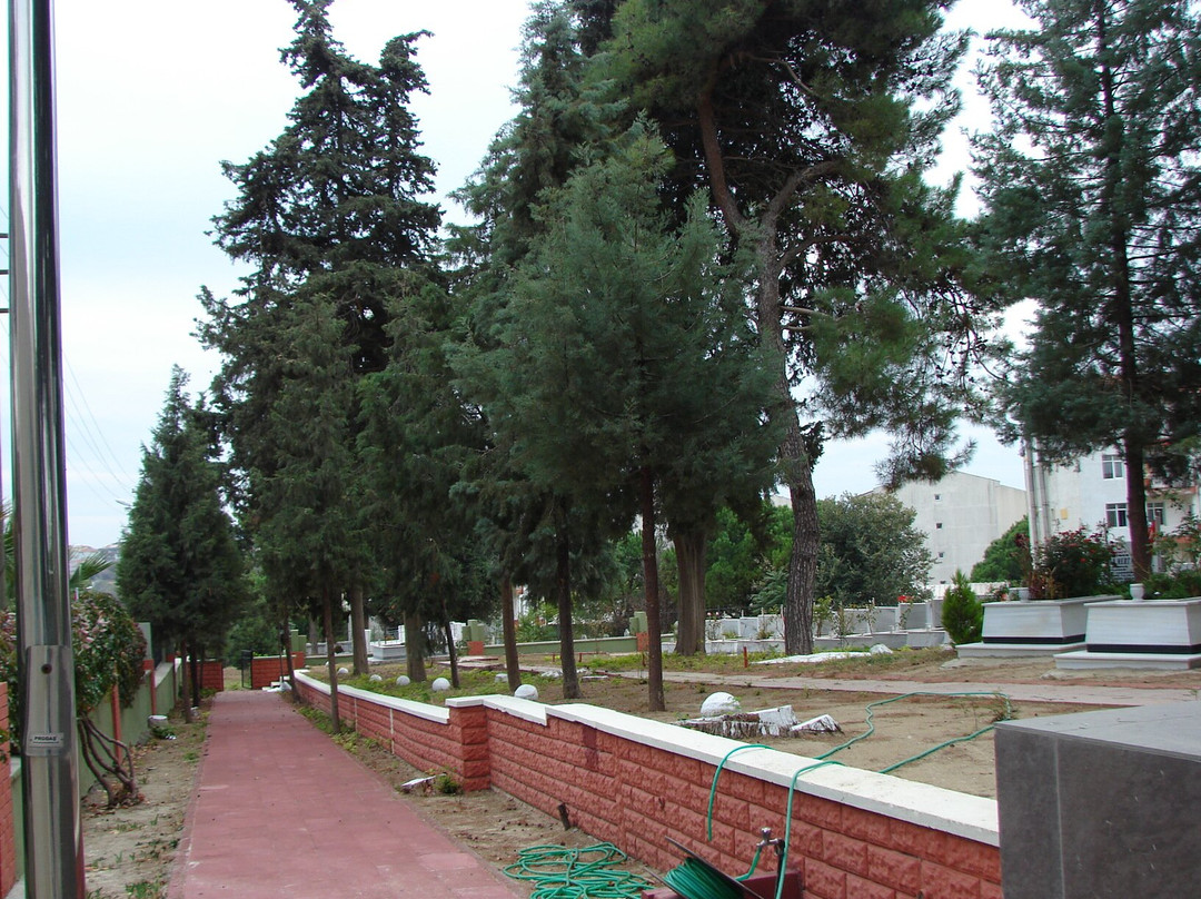 Gelibolu Şehitliği景点图片