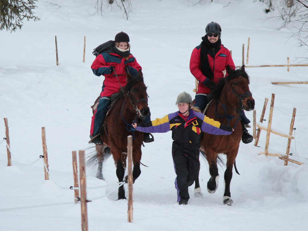 Arctic Nature Trips-罗瓦涅米必去景点