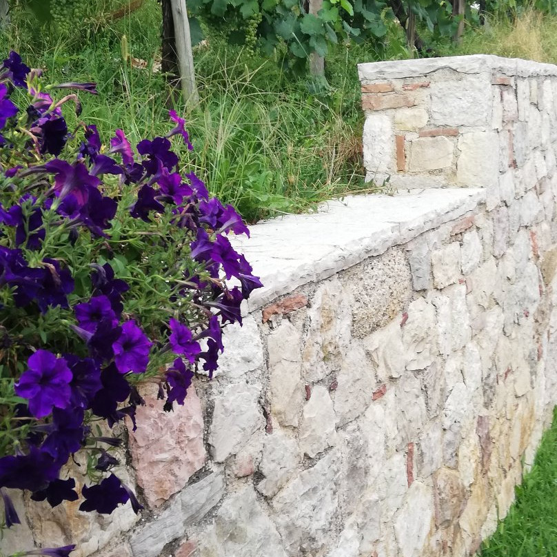 Agriturismo Vedova主图
