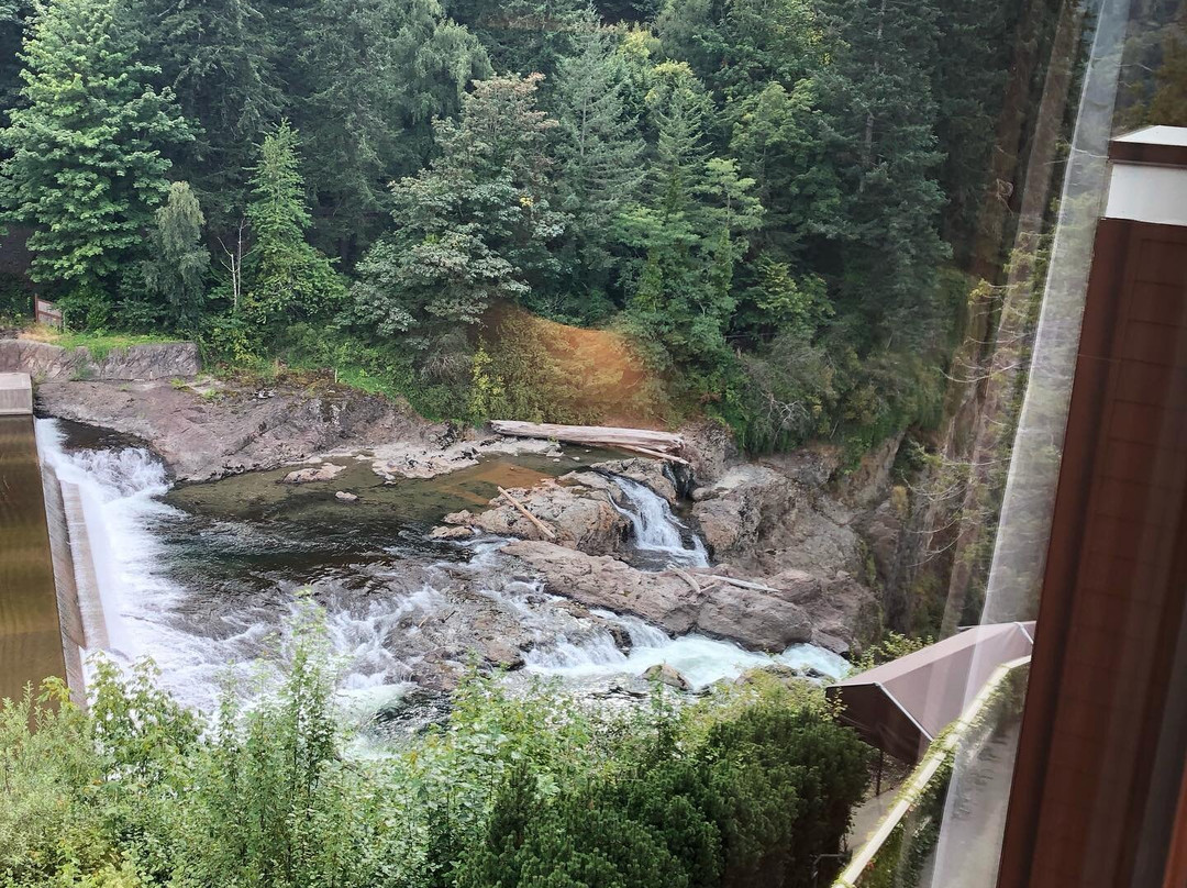 Salish Lodge & Spa主图