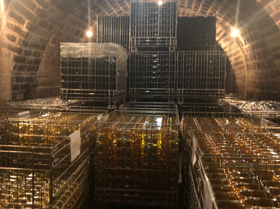 Holdvölgy Experience景点图片