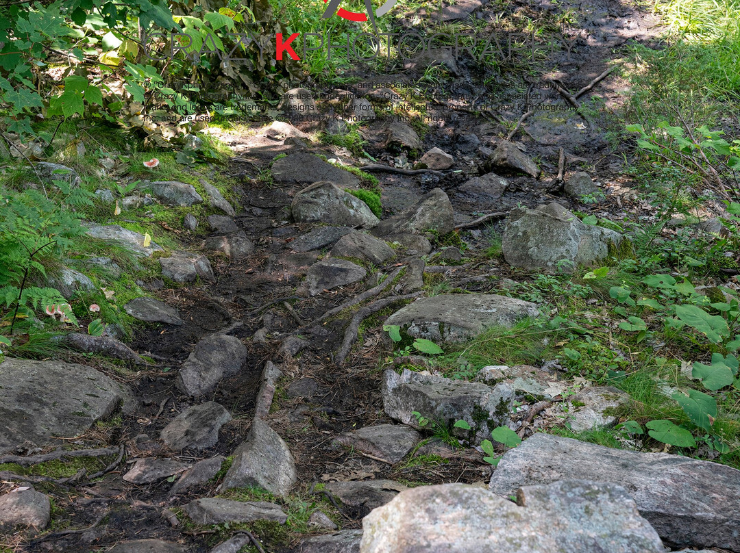 French River Provincial Park-Northeastern Ontario必去景点