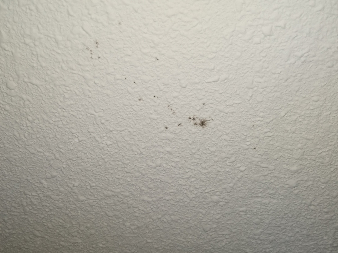 Grand Vista Hotel主图