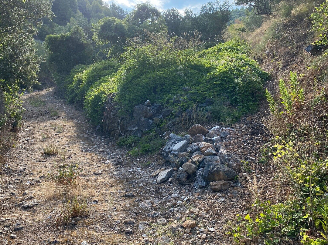 Motokit景点图片