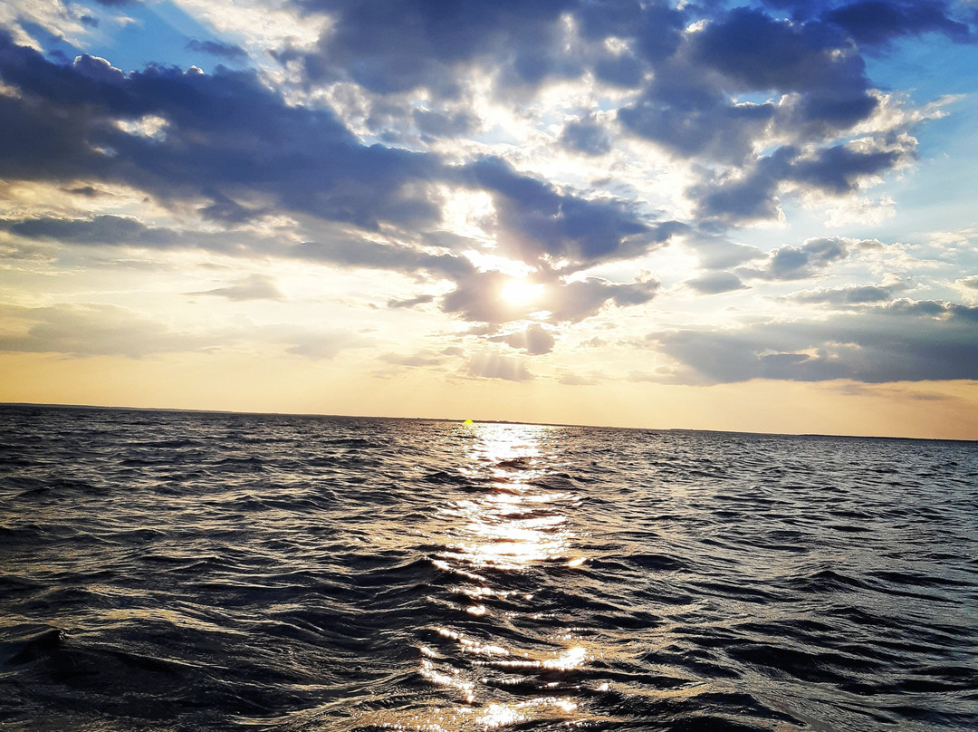 Malpeque Bay Kayak Tours景点图片