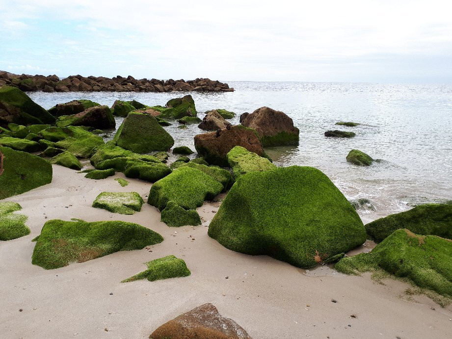 Playa Pampillosa景点图片