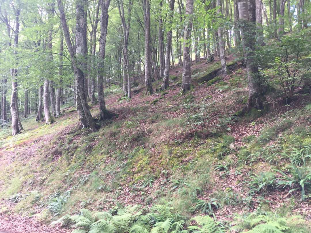 Mirador de Santa Catalina-Penarrubia必去景点